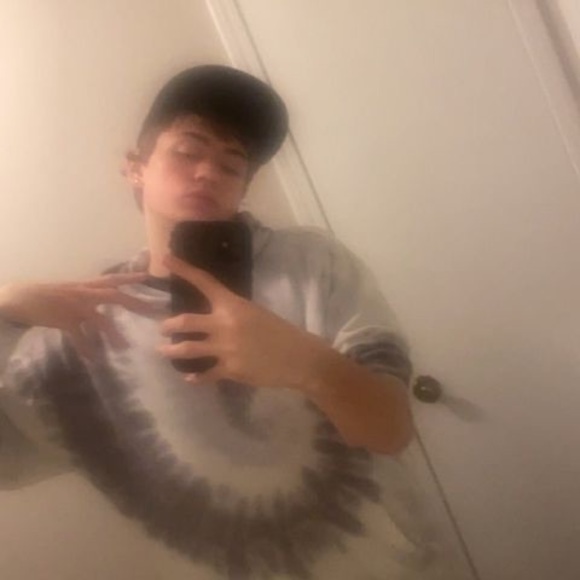 Meet your Posher, Preston - Picture 1 of 1